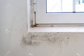 Our windowsills, particularly the ones on the northern sides of our house, end up covered in this black spotty mold/ mildew (not sure which). Black Mold On White Window Sill And Wall Poor Ventilation Humidity Stock Photo Picture And Royalty Free Image Image 110965941