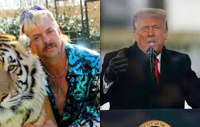 Netflix's true crime docuseries tells the true story of joe exotic maldonado,' former owner of greater wynnewood exotic animal park. Joe Exotic Says He S Too Innocent And Too Gay For Donald Trump To Pardon Him