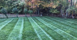 Save $10 on cool season turf. Join Yard Care Bootcamp
