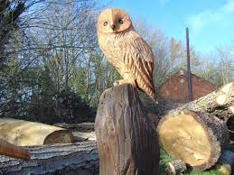 Schnitzen motorsage vorlagen wir haben 17 bilder über schnitzen motorsage vorlagen einschließlich bilder, fotos, hintergrundbilder und mehr. Pin Auf Malen