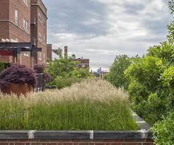 Rooftop Garden Projects Virginia Burt Designs Landscape Design Rooftop Garden Desert Landscaping