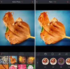 It's all about the person behind the lens and about great compositions that catch the eye. 5 Best Painting Apps That Turn Your Iphone Photos Into Paintings