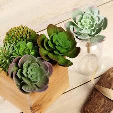 Artificial Succulents Terrariums Wholesale Tableclothsfactory Tableclothsfactory Com Artificial Succulent Plants Fake Succulents Succulents