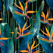 Watercolor Bird Of Paradise Painting Watercolor Painting Tropical Bird Of Paradise Plants Paradise Painting Birds Of Paradise Plant Plant Painting
