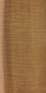 Koa The Wood Database Lumber Identification Hardwood