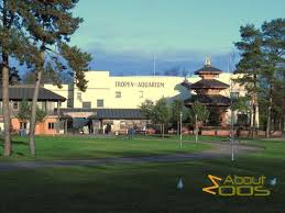 Discover the variety of wildlife polar bears to giraffes feedings and shows guided tours visit us! Hamburg Zoo Tierpark Hagenbeck About Zoos