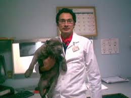 Los primeros datos de la conmemoración del día del veterinario en méxico se remontan a 1853, cuando antonio lópez de santa anna fundó la escuela así, la fundación de la escuela dio lugar a la creación de este día en el que se busca reconocer el trabajo de médicos veterinarios que preservan. Hoy Se Celebra El Dia Del Veterinario El Sol De San Luis Noticias Locales Policiacas Sobre Mexico San Luis Potosi Y El Mundo