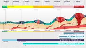 They can be useful if the surgeon is concerned the cancer has spread beyond the pancreas and wants to look at (and possibly biopsy). Current Technologies For Pancreatic Cancer Detection And Diagnosis Immunovia