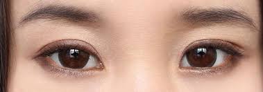 Vassen Big Seeshell Hazel Contact Lens