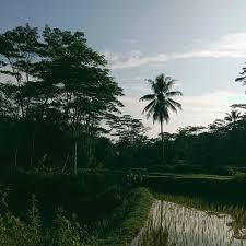 Setelah bangun di pagi hari, sebaiknya kamu jangan lupa merapikan tempat tidurmu. Suasana Di Pagi Hari Pemotretan Jogging