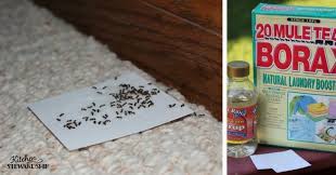 Here's how to make a spray on your own in order to get rid of ants in a few days: 5 Ways To Naturally Get Rid Of Ants In Your House Safe Diy Ant Killer