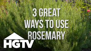 Most herbs are best just before flowering when the oils are at their peak. Twenty Ways To Use Rosemary Molly Green