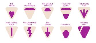 Bigger than the plate exhibition at the victoria and albert museum in london. Best Image Of Pubic Hairstyles For Women Natural Modern Hairstyles