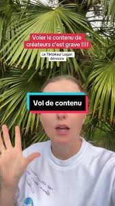 Dénoncer le vol de contenu sur TikTok
