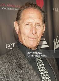 119 Valinsky Stock Photos, High-Res Pictures, and Images