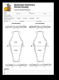 25 Abundant Dental Chart For Canine