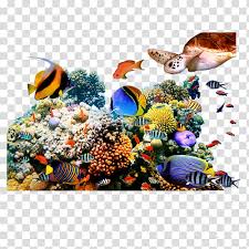 Coral reef paintings by miami artist ana bikic. Coral Reef Painting Mural Marine Life Ocean Seabed Underwater Flora Transparent Background Png Clipart Hiclipart