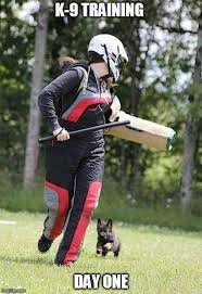 Luxury Dog Boarding Near Me Cheapestdogboarding Military Dogs Funny Dogs Military Working Dogs
