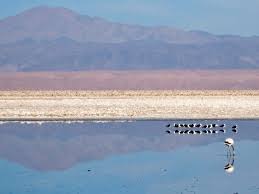 Gurun atacama 6 tuas utas usus saus susu aset utus suatu sesat susut sesuatu. Things To Do In San Pedro De Atacama In The Atacama Desert