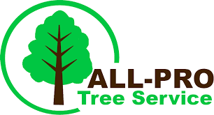 Removed registerrootservice(), unregisterrootservice(), getrootservice() methods. All Pro Tree Service Tree Removal And Care Framingham Ma