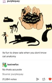 40 Funny Memes To Exercise Your Laughter Muscles Funny Gallery Cute Drawings Cat Anatomy Cute Art