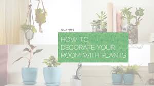 Hang them from the ceiling or beams and allow them to showcase all their. Simple Ways To Decorate Your Home With Plants Indoor Plants Ideas Youtube