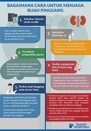 Tips menjaga buah pinggang minuman yang diambil hendaklah melebihi dua liter sehari terutama orang yang. Cara Penjagaan Buah Pinggang Kita Blz Sihat Online Facebook