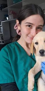 ULTIMOS ULTIMOS!! SHAMPOO EN SECO BATISTE 3.500 2 X 6.000 ENTREGO EN CASAS  VIEJAS