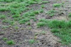 Image result