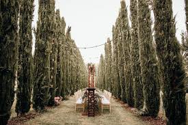 Heiraten In Der Pfalz Italienisches Flair Mitten In Deutschland Mit Dem Verbund Embrace Your Love Fotog Weingut Pfalz Weingut Hochzeit Hochzeitslocation Pfalz