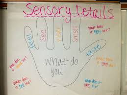 Sensory Details Anchor Chart Teaching Writing Anchor