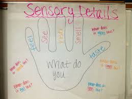 sensory details anchor chart teaching writing anchor