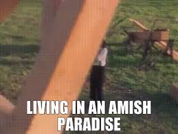 (which itself is a reworking of the stevie wonder song pastime paradise). Yarn Living In An Amish Paradise Weird Al Yankovic Amish Paradise Video Gifs By Quotes 7e908519 ç´—