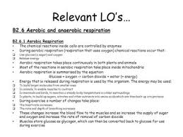 Maybe you would like to learn more about one of these? Respiration Happens Continuously In Most Animal Cells And Some Plant Cells The Term Aerobic Respiration Means Breathing Respiration Happens Within Ppt Download