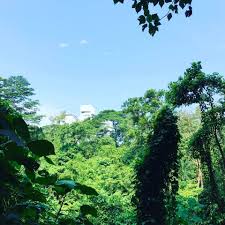 Ismail is a township, invisible located in kuala lumpur. Art In The Park Good Morning From Taman Tun Dr Ismail Park Facebook