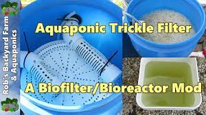 Trickle Filter For Aquaponics Aquaculture A Moving Bed Bio Filter Mod Youtube