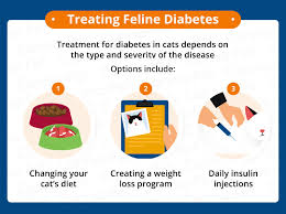 Symptoms of diabetes disease in cats 😝hacks {patients are required to wear masks and practice physical distancing in our waiting rooms and offices. Diabetes In Cats Causes Symptoms Treatment Canna Pet
