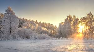 Image result for poze vreme ploioasa