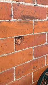 Pin On Arte Callejero En 3d