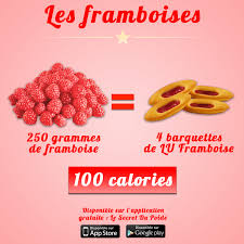 Les Framboises Calories Du Fruit Et Des Biscuits Par Le Secret Du Poids Calories Des Aliments Calories Fruits Secret Du Poids