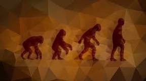 Image result for what is biocultural evolution crash course