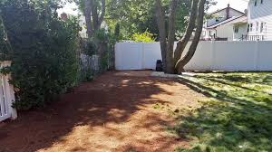 Why should you struggle to get your house cleaned on your day off when edison, nj, cleaning service offered by ricky simms cleaning services inc. Bamboo Removal Edison Nj Nj Bamboo Landscaping