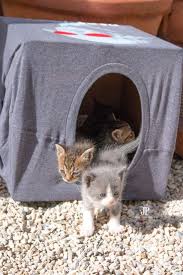 Pin En Casita Para Gatos
