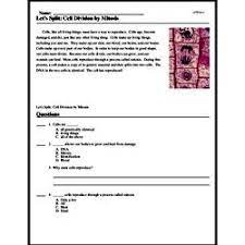 Cell division reading comprehension worksheet mitosis and meiosis science. Cell Division Reading Comprehension Worksheet Mitosis And Meiosis Science Answer Key You Will Receive A Test With Key And Review Questions With Key Verdie Talks