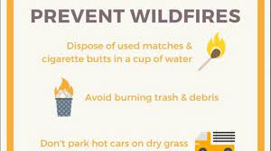 Oem Shares Tips On How To Prevent Wildfires | Kokh