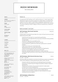 Net Developer Resume Writing Guide 17 Templates