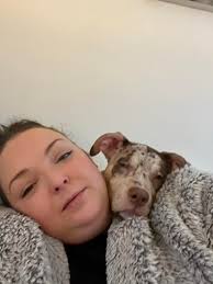 When to spay an Irish Setter?