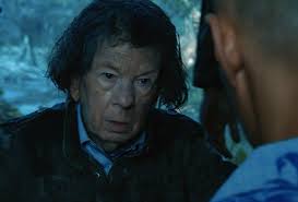 NCIS: LA's Renée Felice Smith Teases Episode 200's Nell Reveal, Hetty vs.  Tiger (!) — Plus: Secrets From the Set