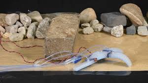 This gecko-inspired robot amputates its own limbs to survive