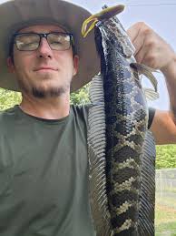 Hadn't fished in 45 years, started this weekend. Can't wait for my first.